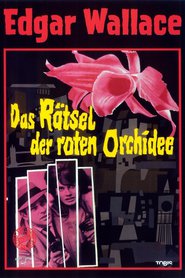 http://kezhlednuti.online/ratsel-der-roten-orchidee-das-34347