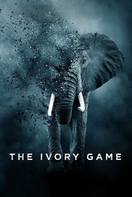 http://kezhlednuti.online/the-ivory-game-48489