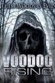 http://kezhlednuti.online/voodoo-rising-5310