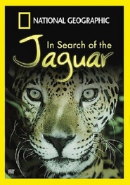 Po stopách jaguára