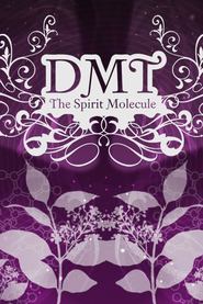 http://kezhlednuti.online/dmt-the-spirit-molecule-66381