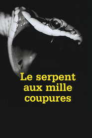 http://kezhlednuti.online/le-serpent-aux-mille-coupures-76990