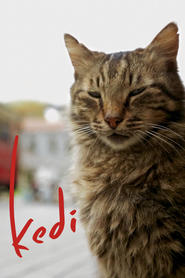 http://kezhlednuti.online/kedi-83720