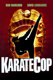 http://kezhlednuti.online/karate-cop-86925