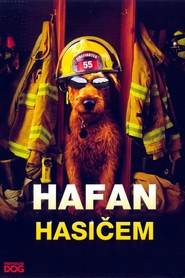 http://kezhlednuti.online/hafan-hasicem-9218