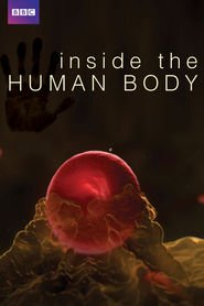 http://kezhlednuti.online/inside-the-human-body-93553