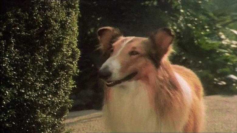 Kouzelná Lassie