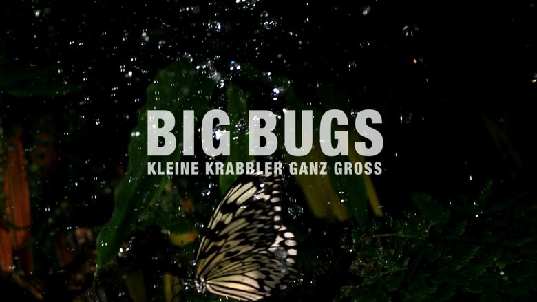 Big Bugs - Kleine Krabbler ganz groß