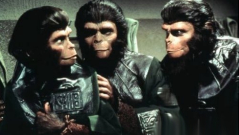 Život, svoboda a pronásledování na Planetě opic