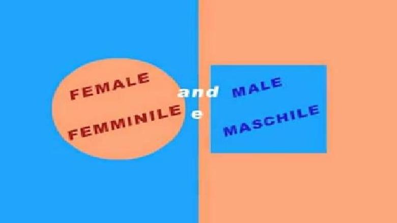 Femminile & maschile