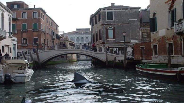 Žralok v Benátkách
